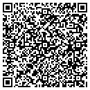 QR code with Premier Auto Spa Inc contacts
