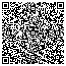QR code with Purcel Group contacts