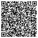 QR code with Teff CO contacts