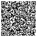 QR code with Netbox contacts