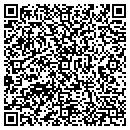 QR code with Borglum Roofing contacts