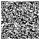 QR code with Carey Construction contacts