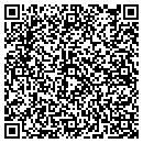 QR code with Premium Wood Floors contacts
