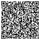 QR code with Premier Mech contacts