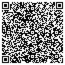 QR code with Professional Mech Serv contacts