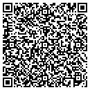 QR code with Pristine Auto Spa Inc contacts