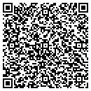 QR code with Blitz Mechanical Inc contacts