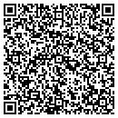 QR code with Premier Mechanical contacts