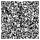 QR code with Pyramid Mechanical contacts