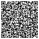 QR code with Brian's Auto Detailing contacts