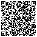 QR code with Napoli contacts