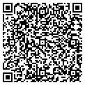 QR code with I G F contacts