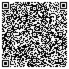 QR code with Brink Line Express Inc contacts