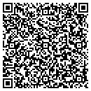 QR code with C Young Consulting contacts