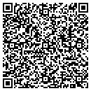 QR code with Pyke Mechanical Inc contacts