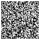 QR code with Precise Auto Detailing contacts
