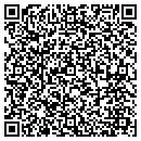 QR code with Cyber Risk Management contacts