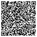 QR code with Z Wire contacts