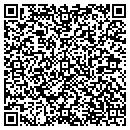 QR code with Putnam Media Group LLC contacts