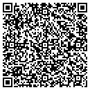 QR code with Cronin Communications contacts