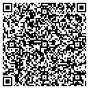 QR code with Colorado Servers Inc contacts