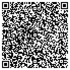 QR code with Public Safety Department contacts