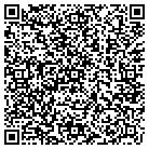QR code with Professional Auto Damage contacts