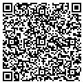 QR code with K Cell contacts
