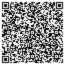 QR code with Carlisle Media Group contacts