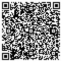 QR code with Cellx contacts