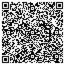 QR code with Provin Services Inc contacts