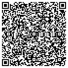 QR code with Professional Revisions contacts