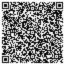 QR code with Pro-Tek Consulting contacts