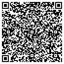 QR code with County Line Pit Stop contacts