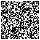 QR code with Catapult Systems contacts