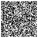 QR code with Precision Air, Inc. contacts
