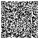 QR code with Premier Mechanical Inc contacts