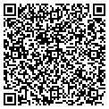 QR code with Backdrop contacts