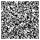 QR code with Pt Masonry contacts