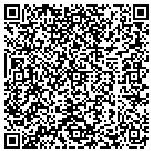 QR code with Bz Mechanical Group Inc contacts