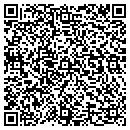 QR code with Carrione Mechanical contacts