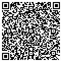QR code with Dml Mechanical Inc contacts