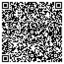 QR code with Puzziferro Arthur contacts