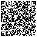 QR code with Evlink contacts
