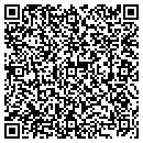 QR code with Puddle Jump Media LLC contacts