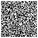 QR code with Pyramid Roofing contacts