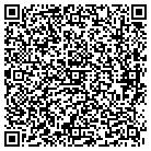 QR code with Push Media Group contacts