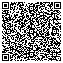 QR code with Process Mechanical Inc contacts