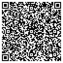 QR code with Bluebird Systems contacts