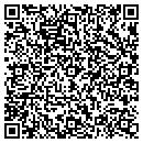 QR code with Chaney Mechanical contacts